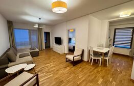 Apartament 2 camere, 55 mp, mobilat modern, zona Platinia/Plopilor