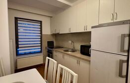 Apartament 2 camere, 55 mp, mobilat modern, zona Platinia/Plopilor
