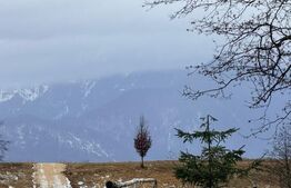 Teren în suprafață de 80.000 mp, situat în Glăjerie – Râșnov EXTRAVILAN