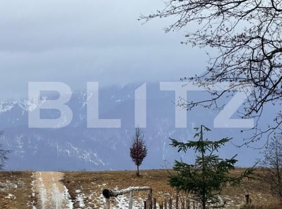 Teren de vânzare Rasnov - 186565TV | BLITZ Brașov | Poza1