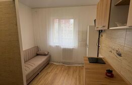 Camera de camin, 10 mp - mobilata - utilata, zona Florilor