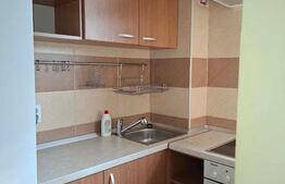 Garsoniera cocheta, 32 mp, etaj 9/9, mobilata si utilata, Noua, Brasov