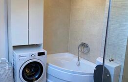 Apartament cu o camera, 58 mp,  curte proprie, parcare - Zona centrala