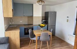 Apartament cu o camera, 58 mp,  curte proprie, parcare - Zona centrala