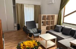 Apartament cu o camera, 58 mp,  curte proprie, parcare - Zona centrala