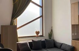 Apartament cu o camera, 58 mp,  curte proprie, parcare - Zona centrala