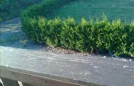 Casa de vacanta la 15 km de Cluj!