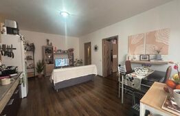 Apartament 3 camere, 57 mp, parcare, boxa, intermediar, zona Stejarului