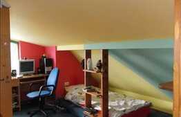 Casa individuala ,120 mp utili si 172 mp de teren, posibila afacere la cheie.