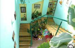 Multa Verdeata, Acces Usor In Centru, Oaza De Liniste !