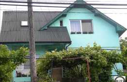 Multa Verdeata, Acces Usor In Centru, Oaza De Liniste !