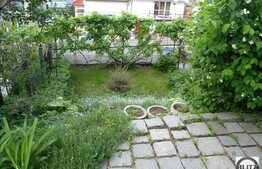 Multa Verdeata, Acces Usor In Centru, Oaza De Liniste !