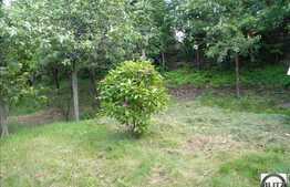 Multa Verdeata, Acces Usor In Centru, Oaza De Liniste !