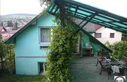 Multa Verdeata, Acces Usor In Centru, Oaza De Liniste !