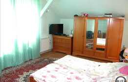 Multa Verdeata, Acces Usor In Centru, Oaza De Liniste !