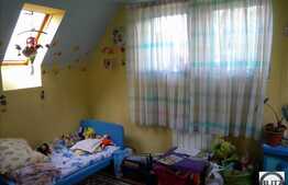 Multa Verdeata, Acces Usor In Centru, Oaza De Liniste !