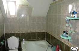 Multa Verdeata, Acces Usor In Centru, Oaza De Liniste !