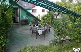 Multa Verdeata, Acces Usor In Centru, Oaza De Liniste !