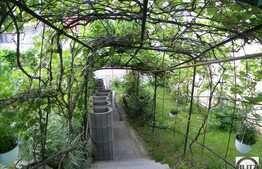 Multa Verdeata, Acces Usor In Centru, Oaza De Liniste !