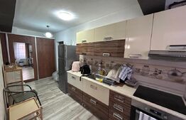 Apartament cu o camera, zona Eroilor