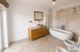  Penthouse Grigorescu | 274 mp Terase