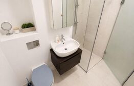  Penthouse Grigorescu | 274 mp Terase