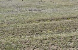 De Vanzare: Teren intravilan excepțional în Codlea - priveliște de vis