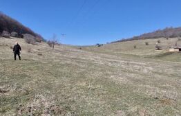De Vanzare: Teren intravilan excepțional în Codlea - priveliște de vis