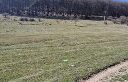 De Vanzare: Teren intravilan excepțional în Codlea - priveliște de vis