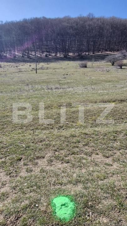Teren de vânzare Codlea - 186817TV | BLITZ Brașov | Poza7