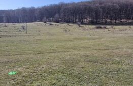 De Vanzare: Teren intravilan excepțional în Codlea - priveliște de vis