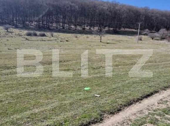 Teren de vânzare Codlea - 186818TV | BLITZ Brașov | Poza3