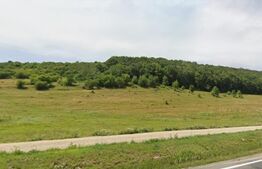 De Vanzare: Teren intravilan excepțional în Codlea - priveliște de vis