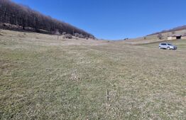 De Vanzare: Teren intravilan excepțional în Codlea - priveliște de vis