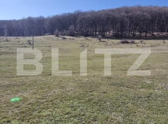 Teren de vânzare Codlea - 186819TV | BLITZ Brașov | Poza7