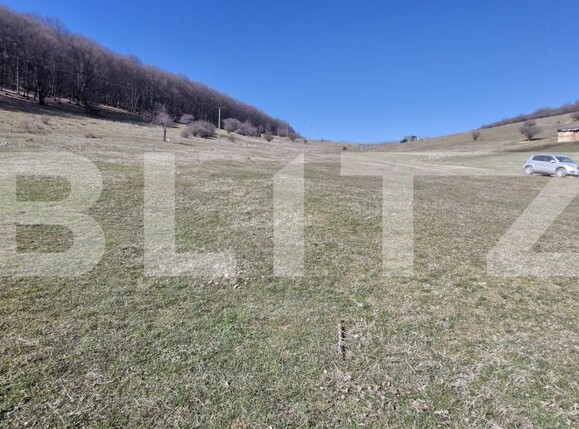 Teren de vânzare Codlea - 186819TV | BLITZ Brașov | Poza4