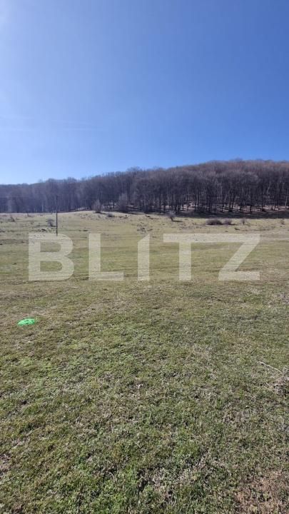 Teren de vânzare Codlea - 186819TV | BLITZ Brașov | Poza7