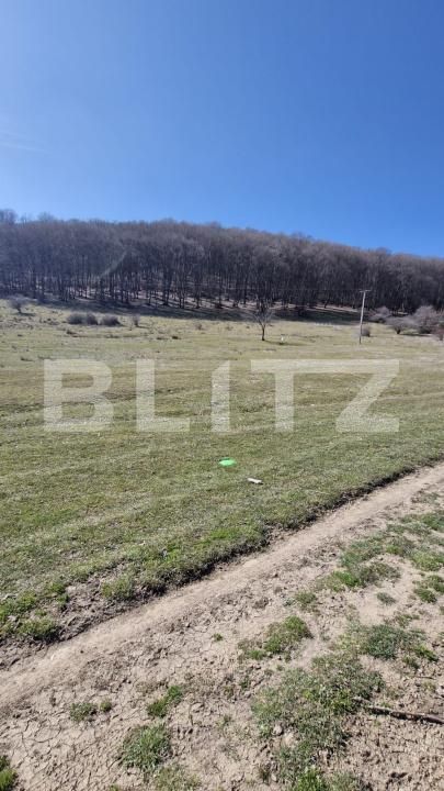 Teren de vânzare Codlea - 186819TV | BLITZ Brașov | Poza3