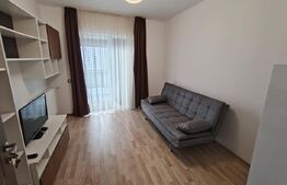 Penthouse 4 camere, 110 mp, 120 mp terasa, 3 locuri in garaj, zona Buna-Ziua