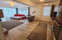 Penthouse 4 camere, 110 mp, 120 mp terasa, 3 locuri in garaj, zona Buna-Ziua