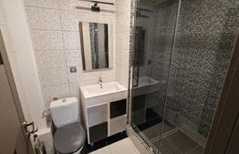 Penthouse 4 camere, 110 mp, 120 mp terasa, 3 locuri in garaj, zona Buna-Ziua