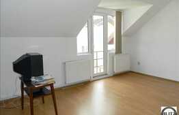 2 case de vanzare in aceeasi curte, 260 mp + 70 mp utili