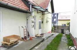 2 case de vanzare in aceeasi curte, 260 mp + 70 mp utili