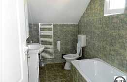 2 case de vanzare in aceeasi curte, 260 mp + 70 mp utili