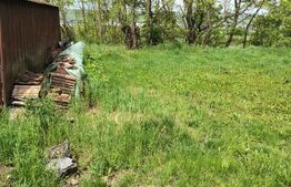 Casă individuală 82 mp utili, teren 693 mp, în Jucu de Sus