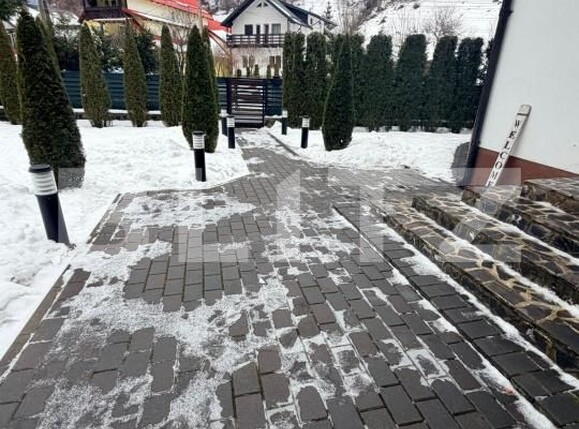 Spațiu comercial de vânzare Moieciu de jos - 186890SVC | BLITZ Brașov | Poza12