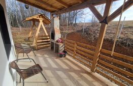 Comision Zero, Exclusivitate, Casa individuala, 4 camere, 630 mp de teren, Rasca