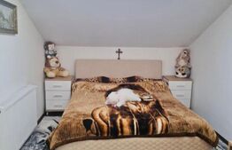 Apartament spatios cu 2 camere, 56 mp, zona Tractorul