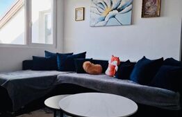 Apartament spatios cu 2 camere, 56 mp, zona Tractorul