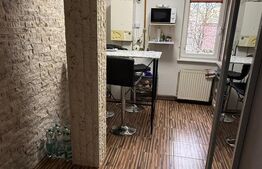 Apartament 2 camere - Ideal pentru locuit sau investiție